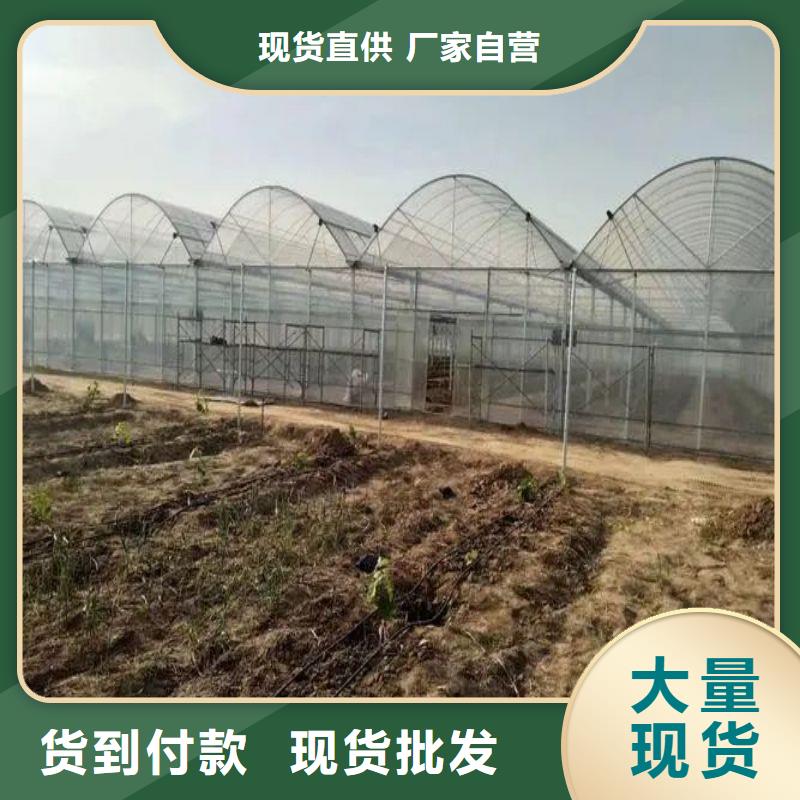 永靖县茄子大棚管配件怎么买