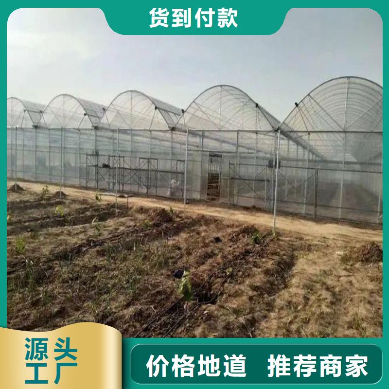 沂源县小口径大棚管价格