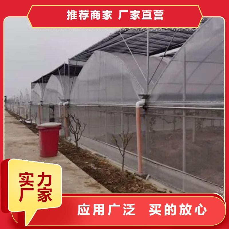 勉县圆顶温室厂家哪里