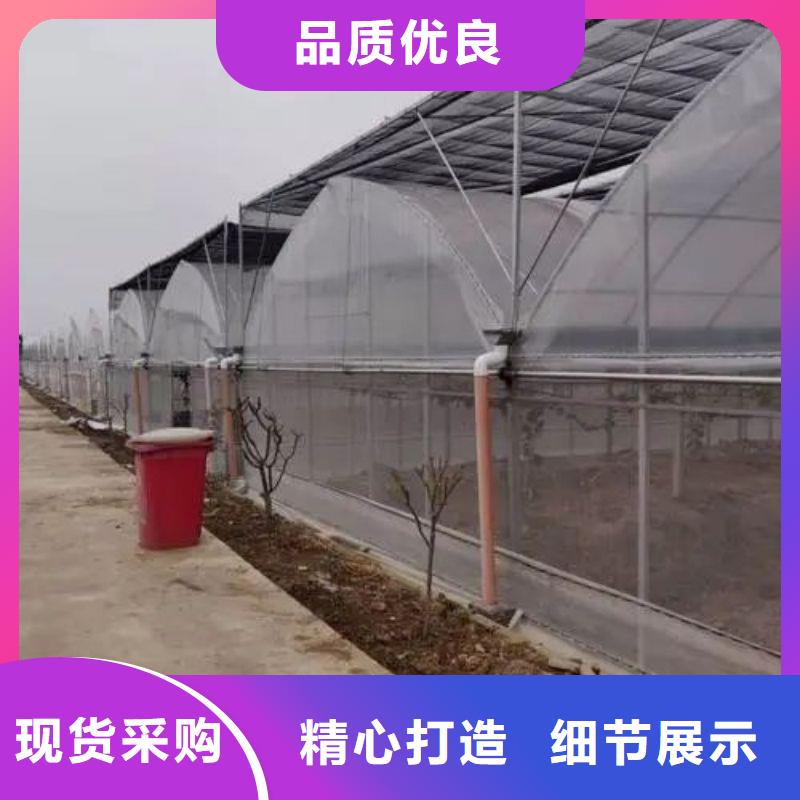 连栋大棚的优缺点价格行情2025