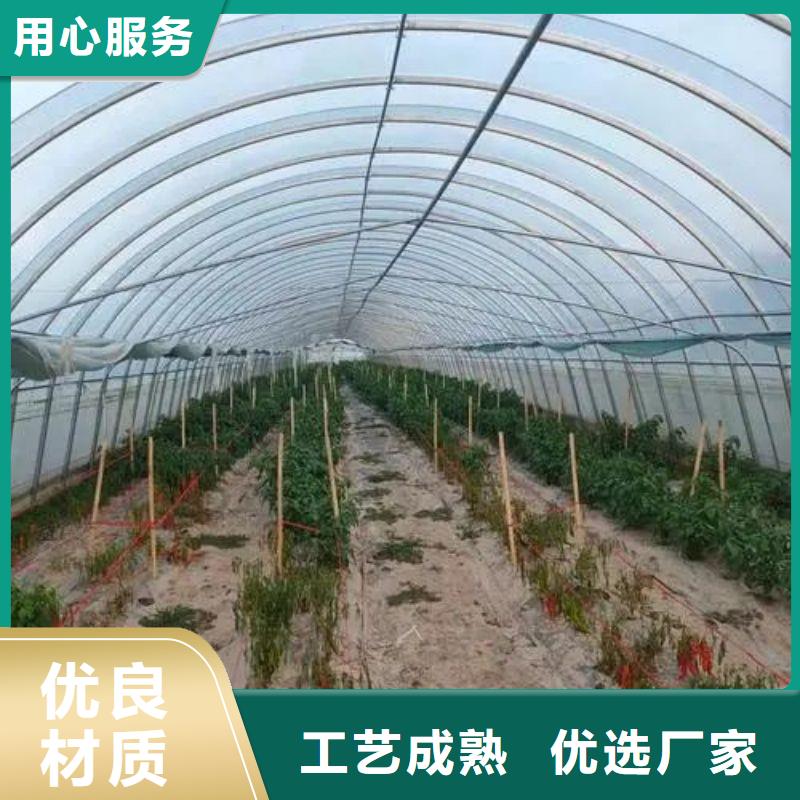 民勤县菌菇定尺大棚管