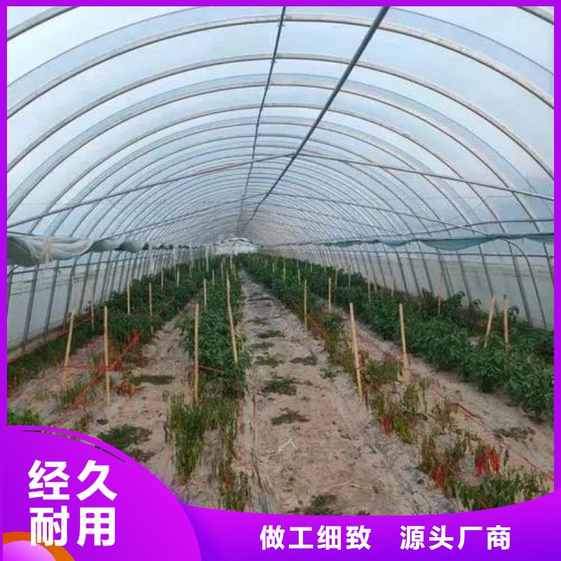 太平区西瓜大棚管热销