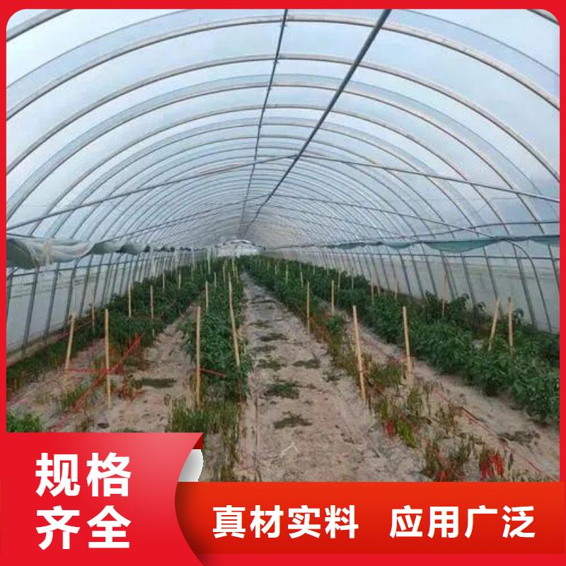 温室水培系统有兴趣
