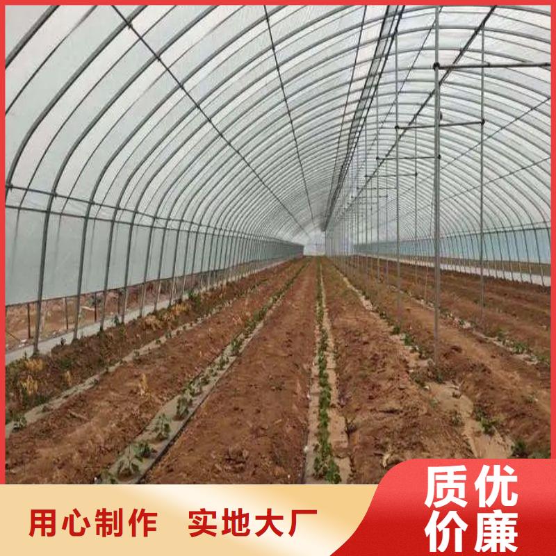 高港区果树大棚钢管哪里