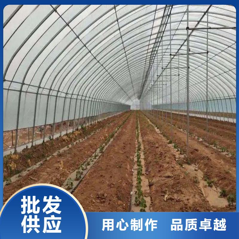 汪清县茄子大棚管现货
