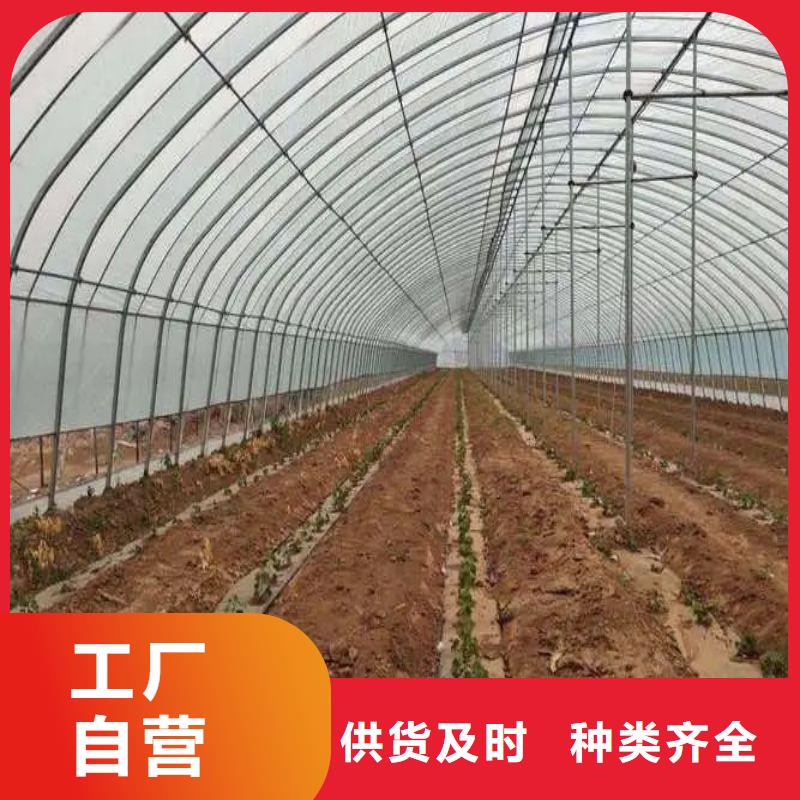 大棚管2温室大棚管专业完善售后