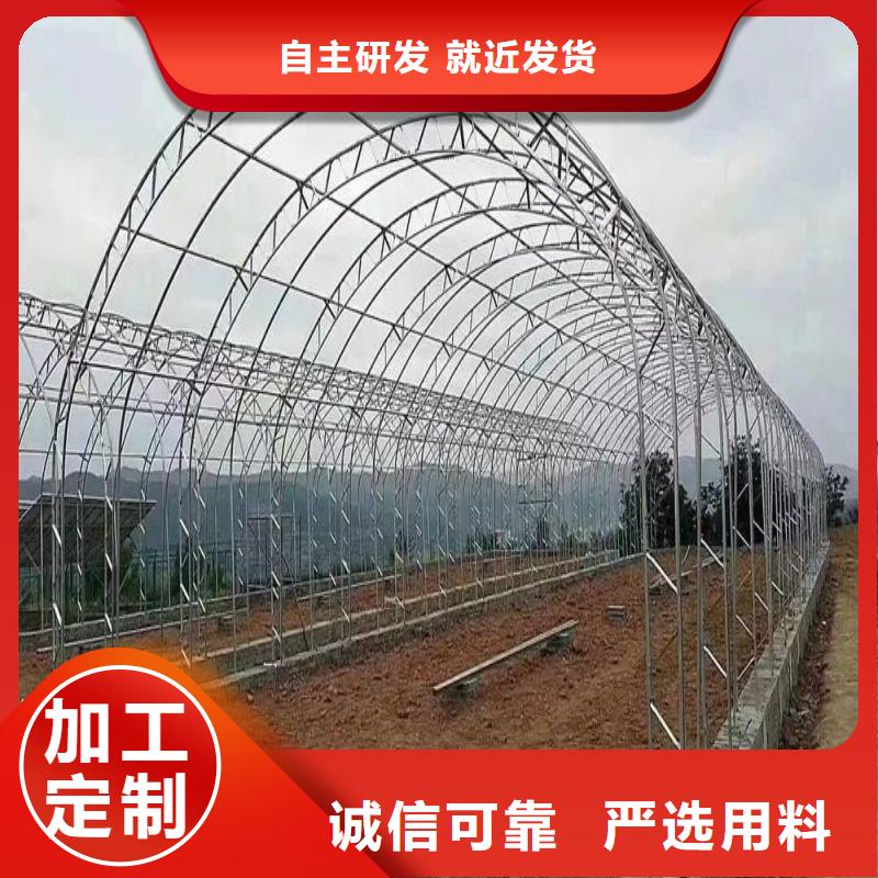 望都县大棚设备正规厂家