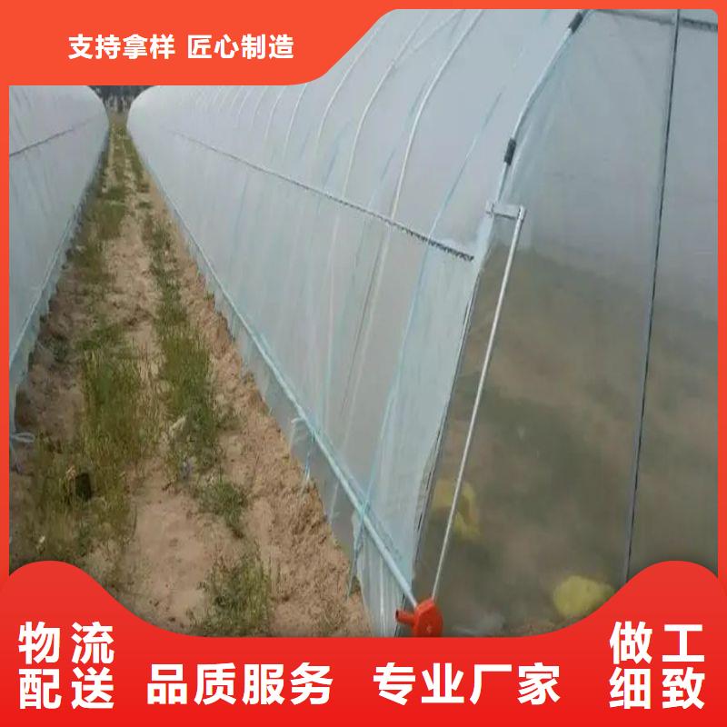 沿滩区肩高1.8米顶高2.5米大棚管折弯