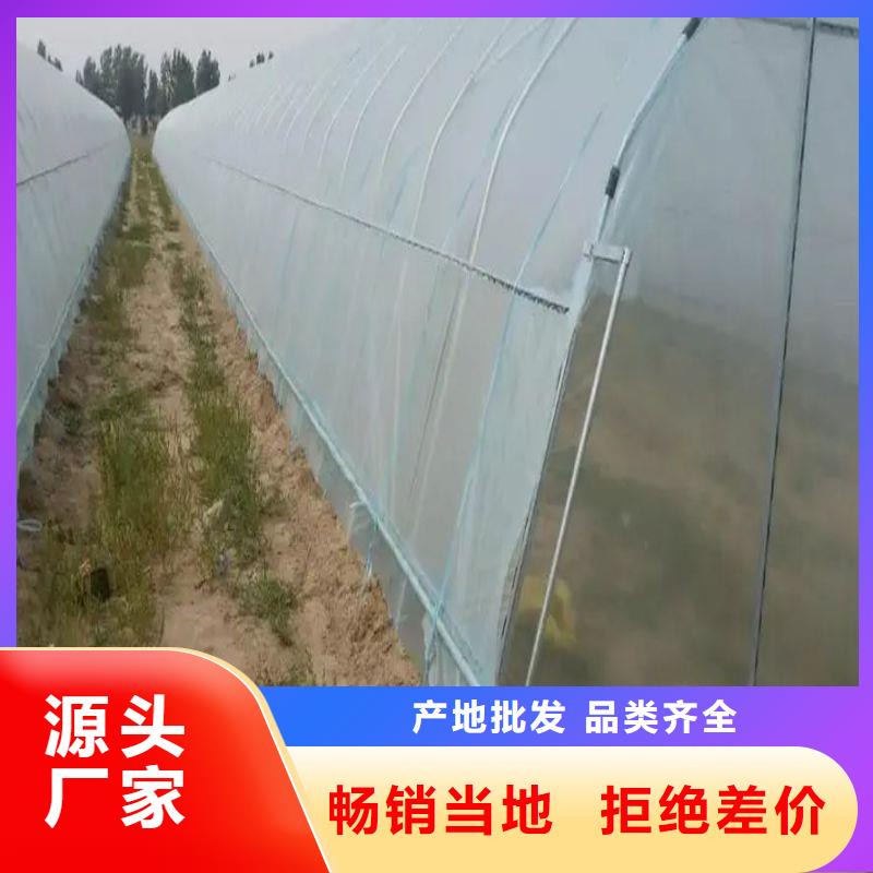 大棚管2铝管源头厂家供应