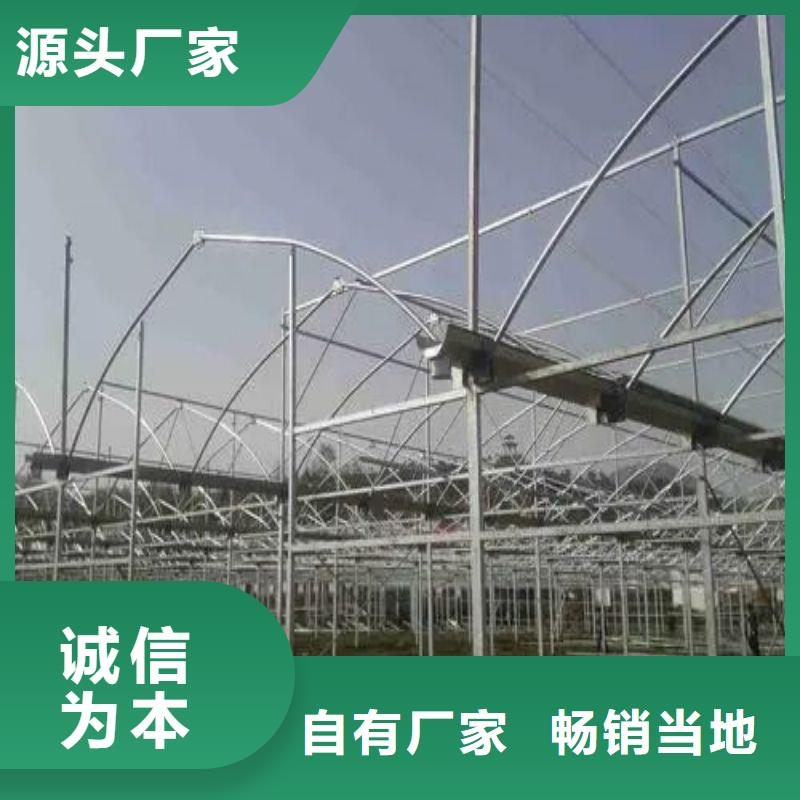 北戴河区树苗大棚骨架机