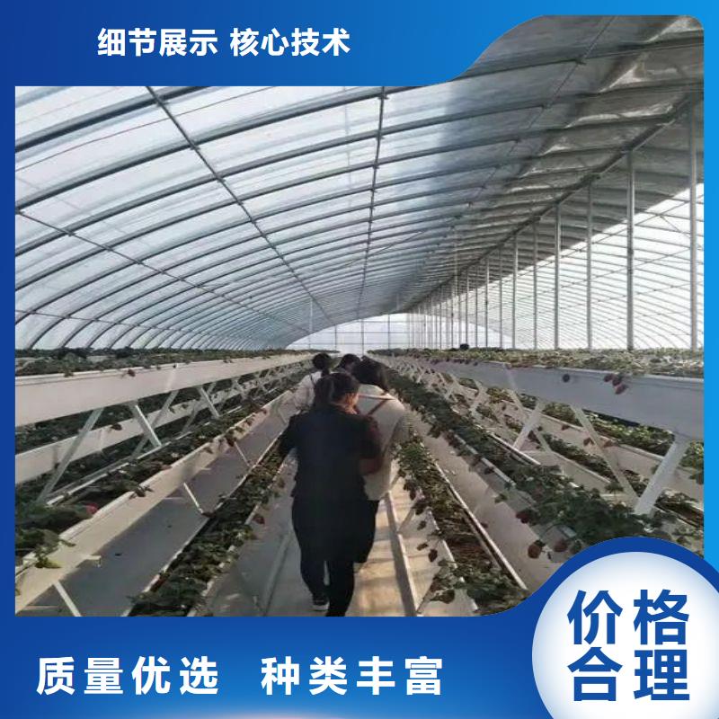 宛城区农业大棚管生产厂家怎么