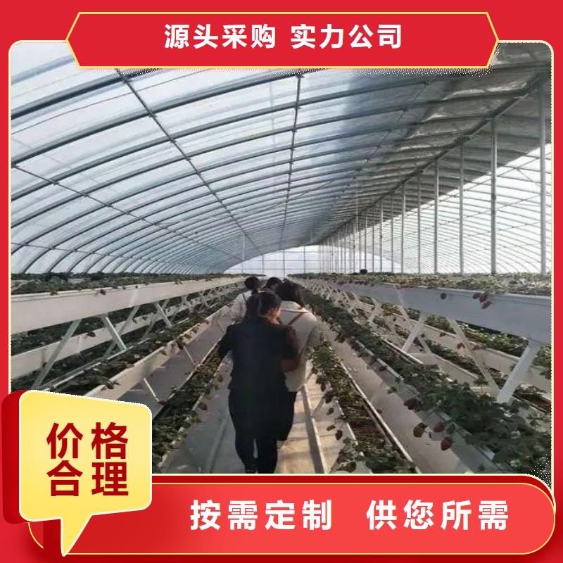 万山区连体大棚配件可定制