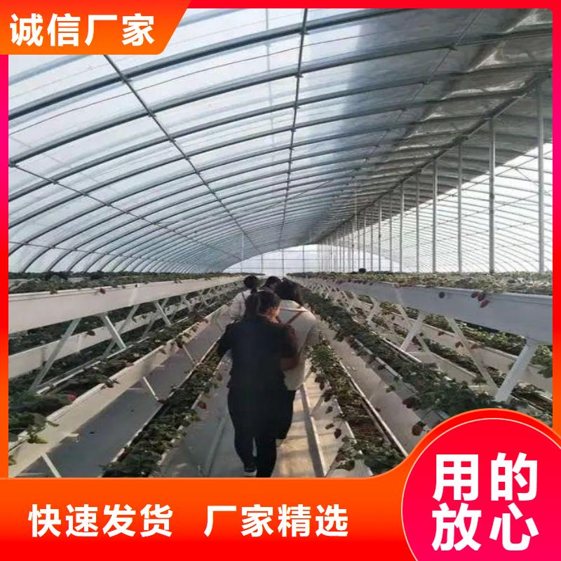 遵化市火龙国大棚怎么卖