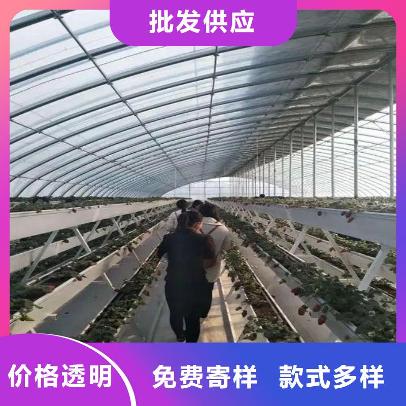 青原塑料薄膜大棚品质保障