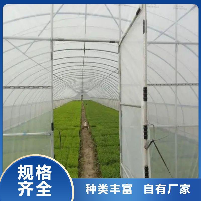 草药定尺大棚管