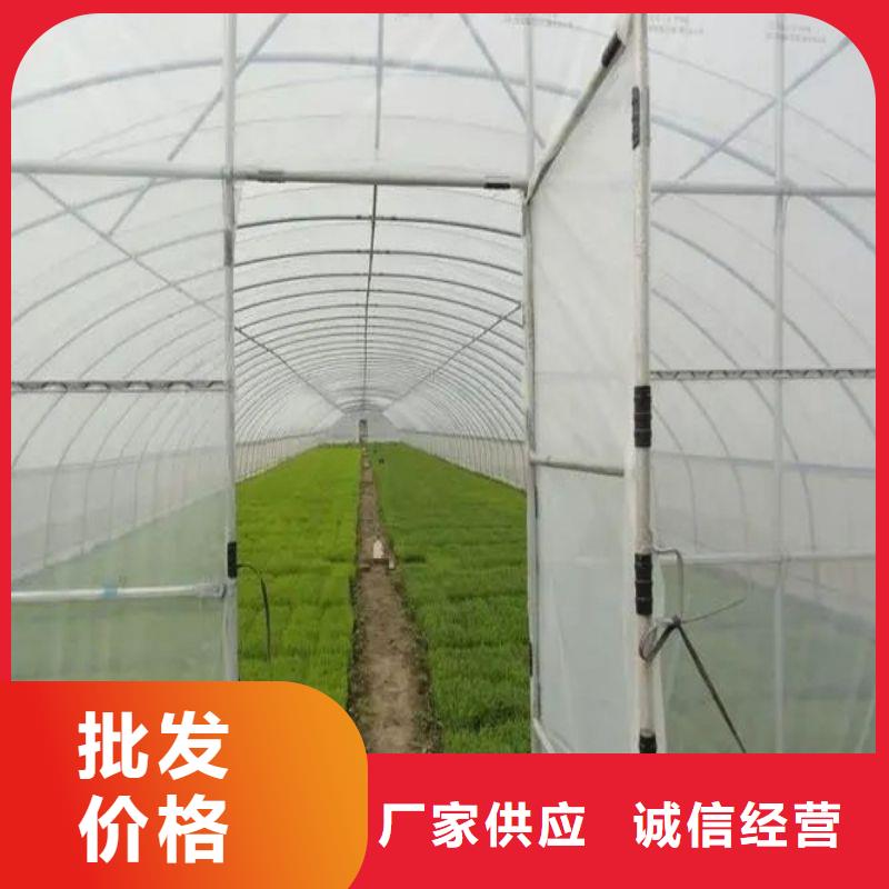余干县连栋大棚钢管厂家可定制