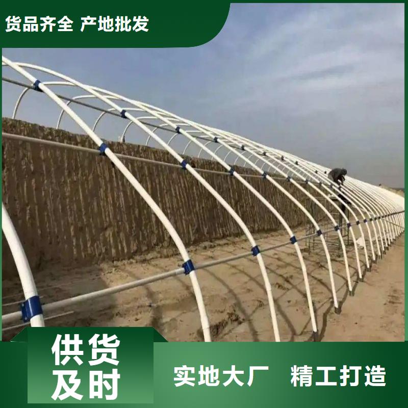 开远市苗床价格