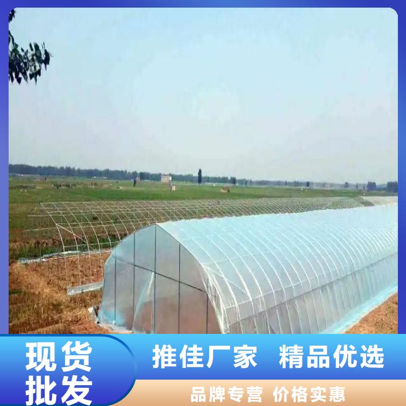 雨花台连栋大棚价格行情2025