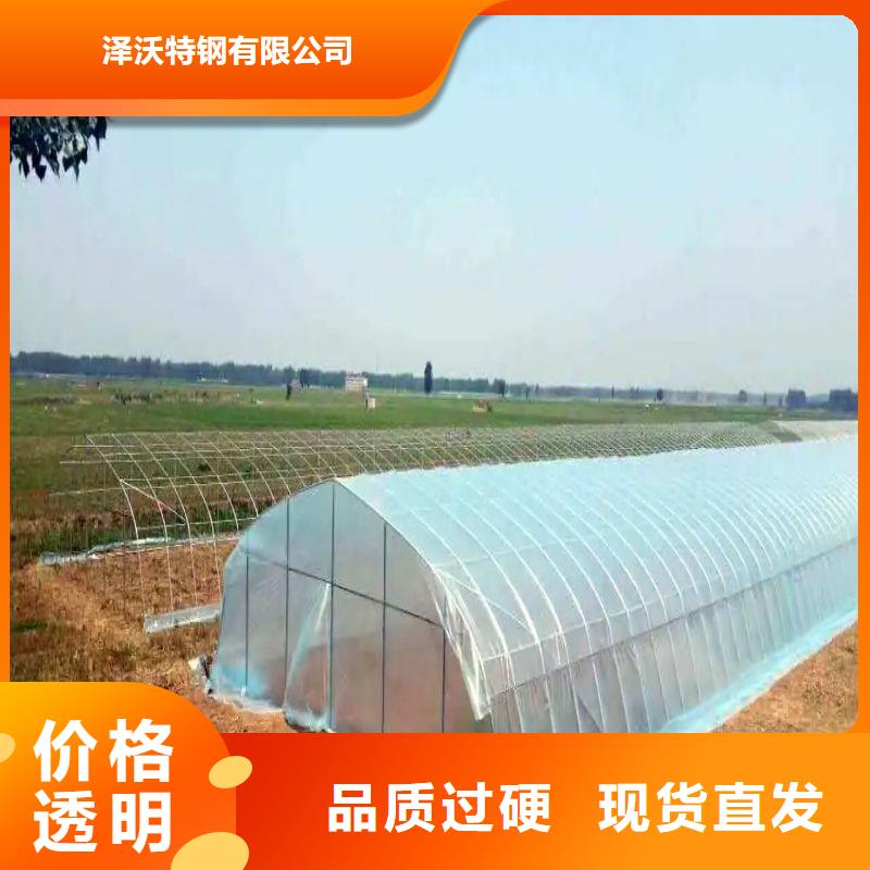石台县火龙果定尺大棚管