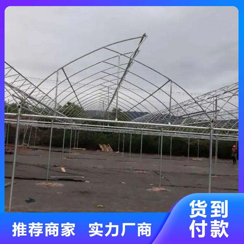 草莓骨架钢管