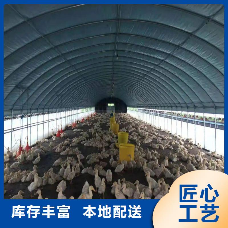 草莓骨架钢管
