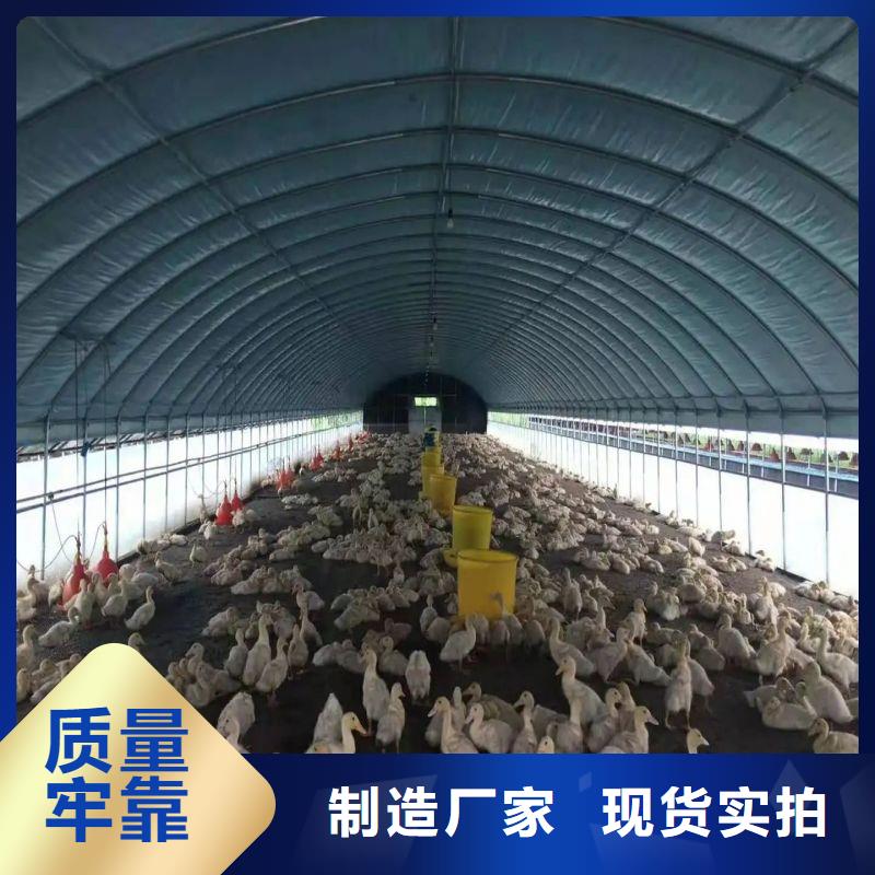卢龙县连体大棚管热销