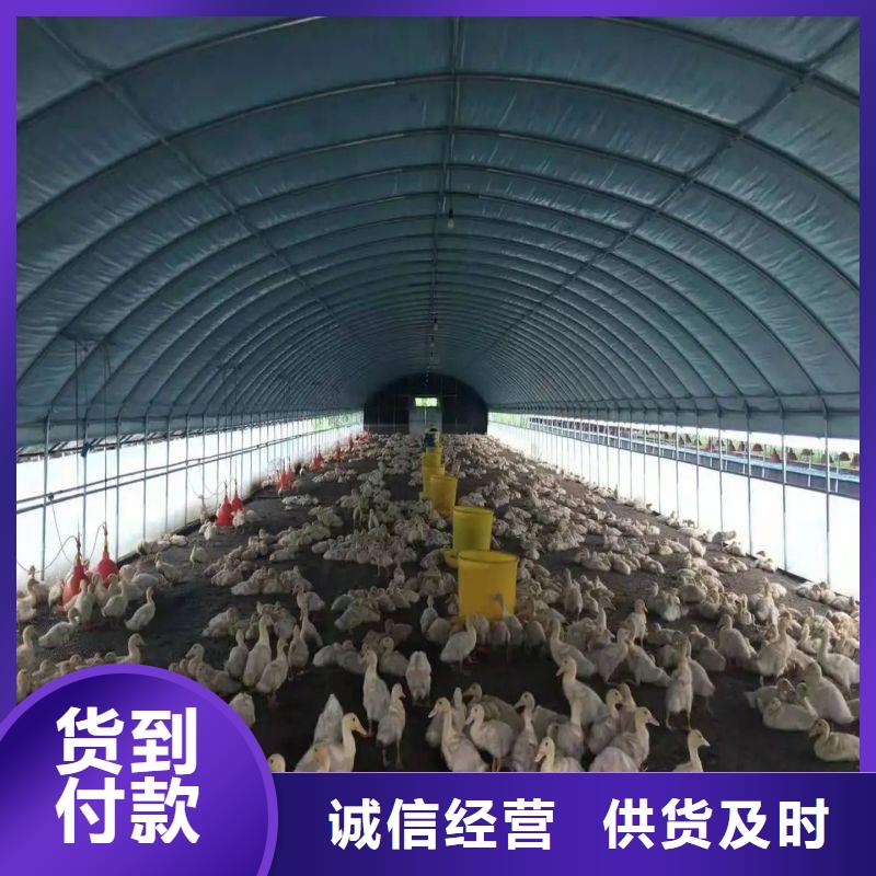 蕲春县蔬菜用大棚骨架厂家哪里