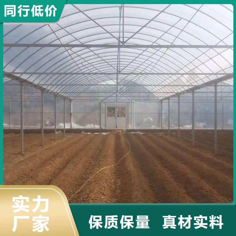 沙头街道多跨度大棚骨架机