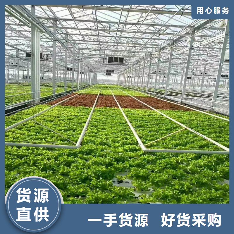 麒麟区大棚薄膜咋买