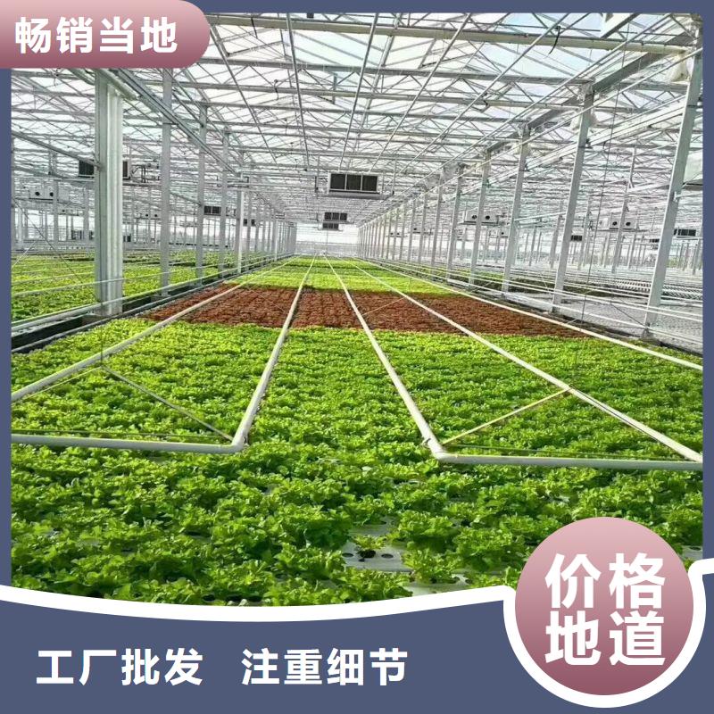 抚宁区农用大棚设备下单