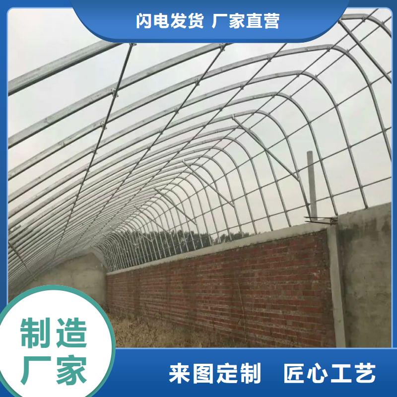 东门街道连栋大棚钢管实体厂家