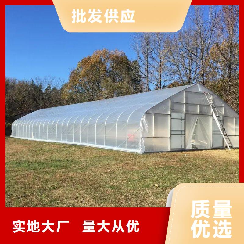 桂山镇镀锌带钢管实体厂家