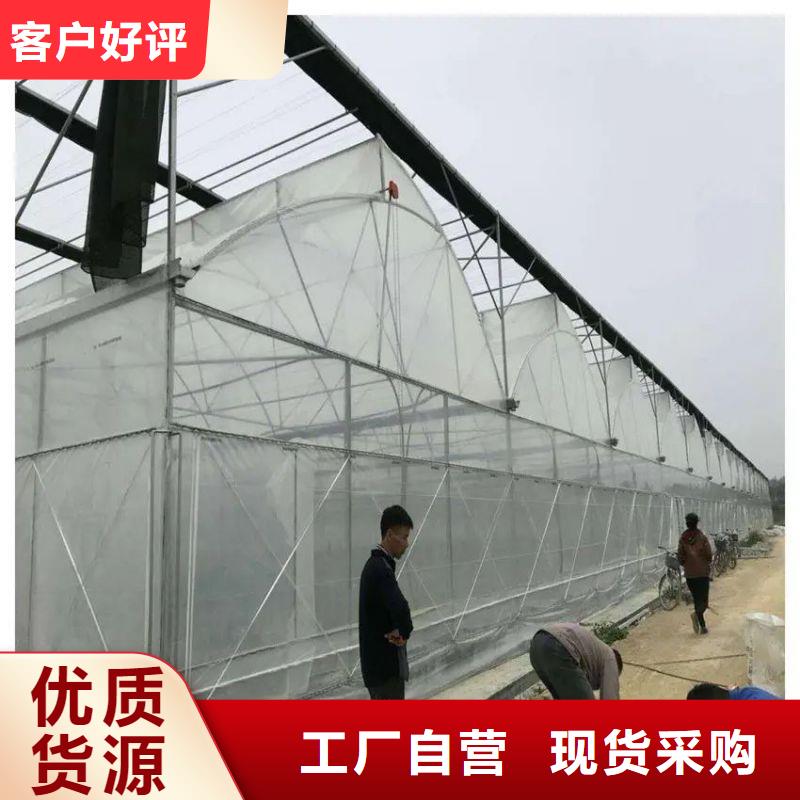 梅沙街道单体大棚联系电话