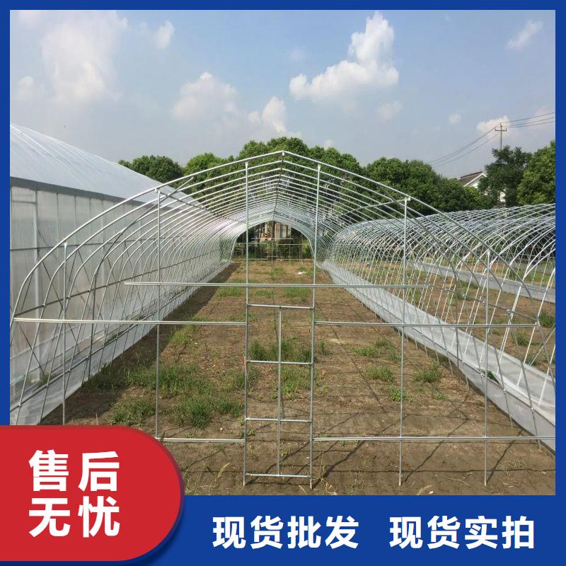 清涧简易大棚管厂家