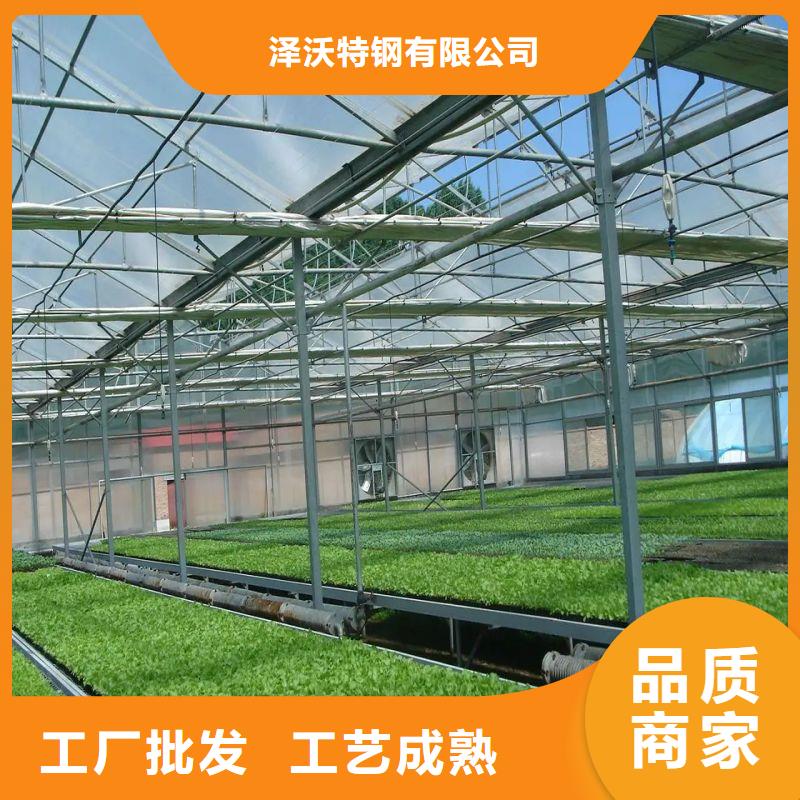 安福种植大棚生产基地