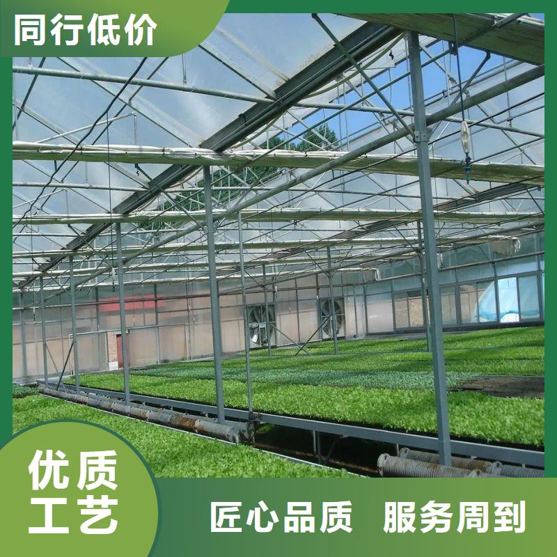 博山区养鹅大棚管介绍