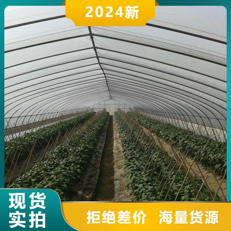 大棚管2镀锌大棚管现货供应