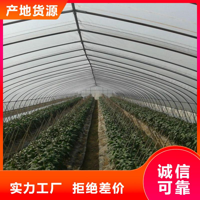 狮子山区养殖大棚管现货