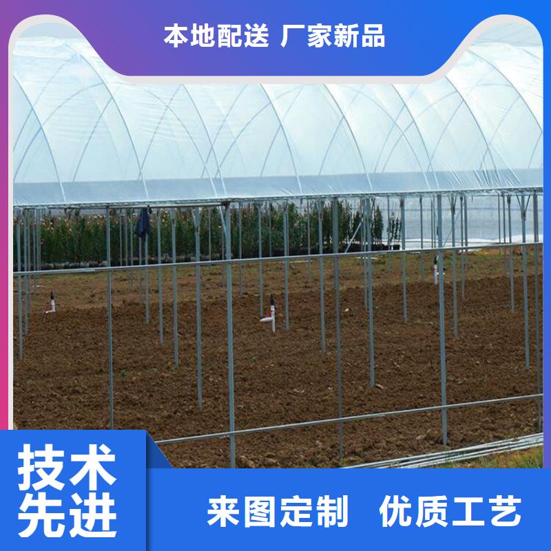 合川连栋温室大棚发货及时