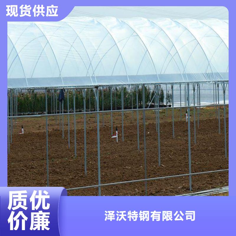 连栋大棚的优缺点价格行情2025