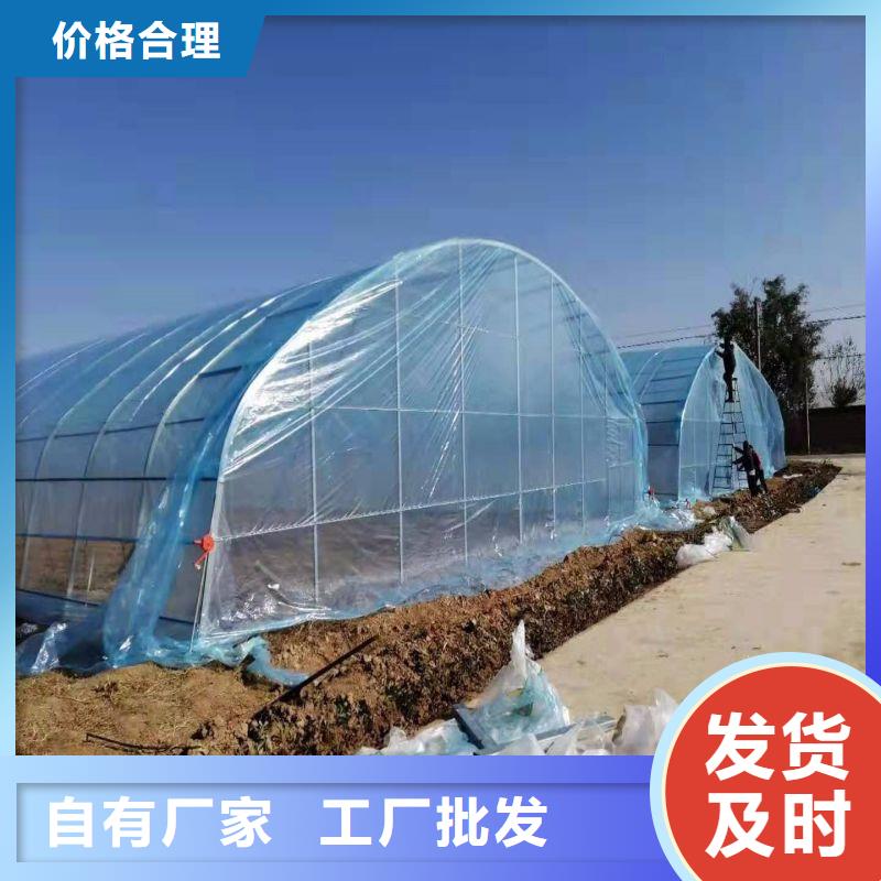 大棚管2蔬菜温室大棚管实拍展现