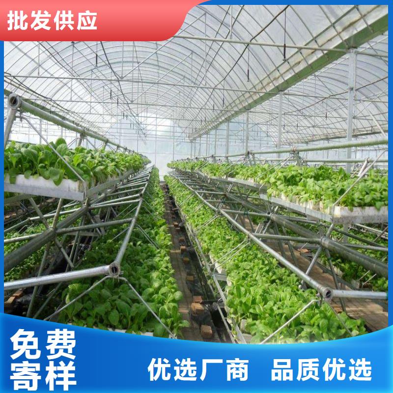 老边区高品质大棚骨架