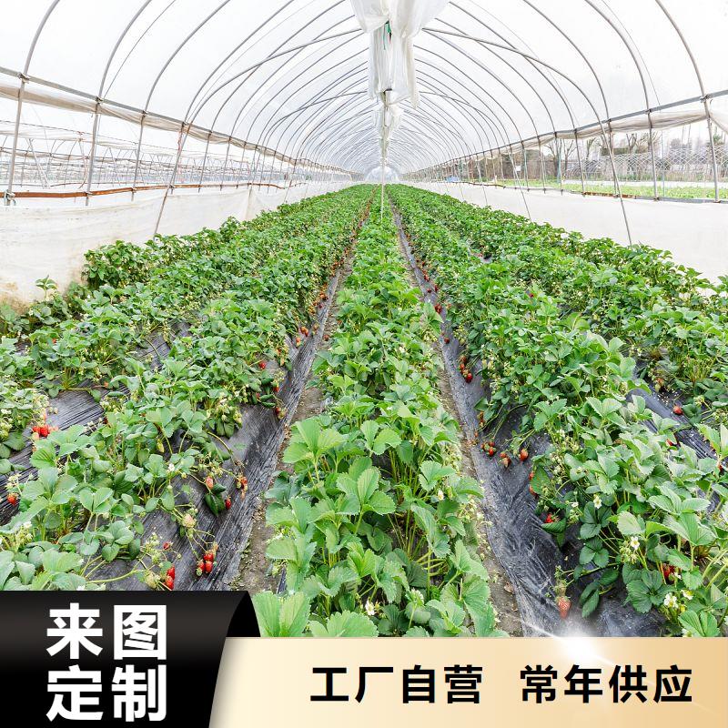 平江县暖棚多少钱