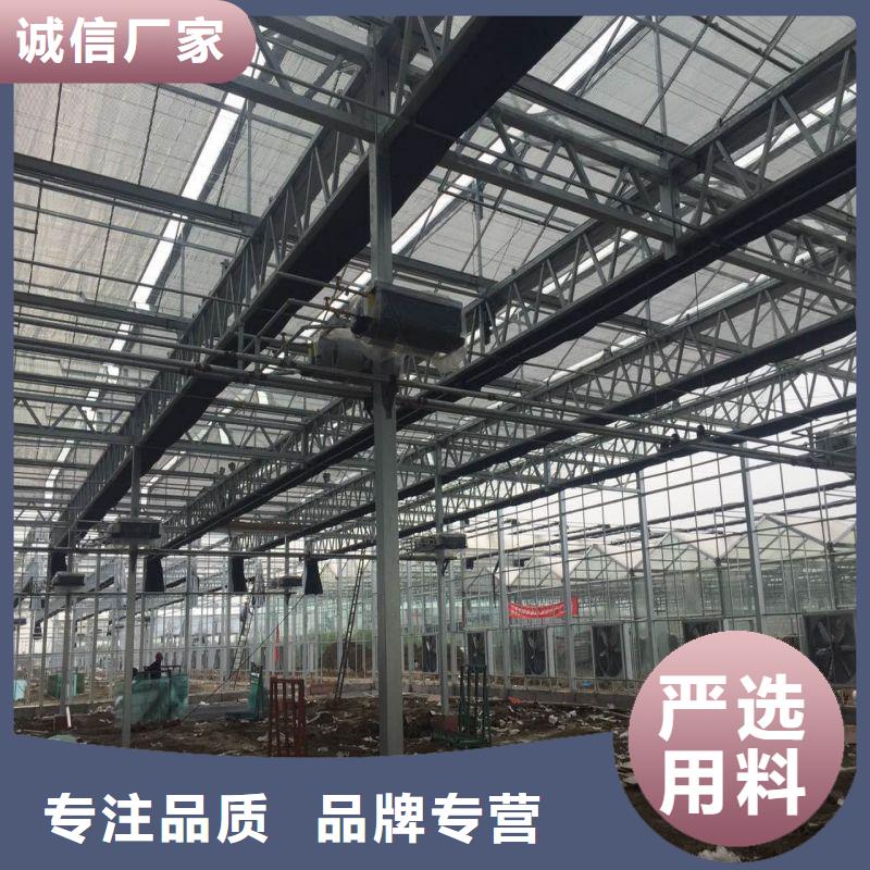 连栋大棚的优缺点价格行情2025