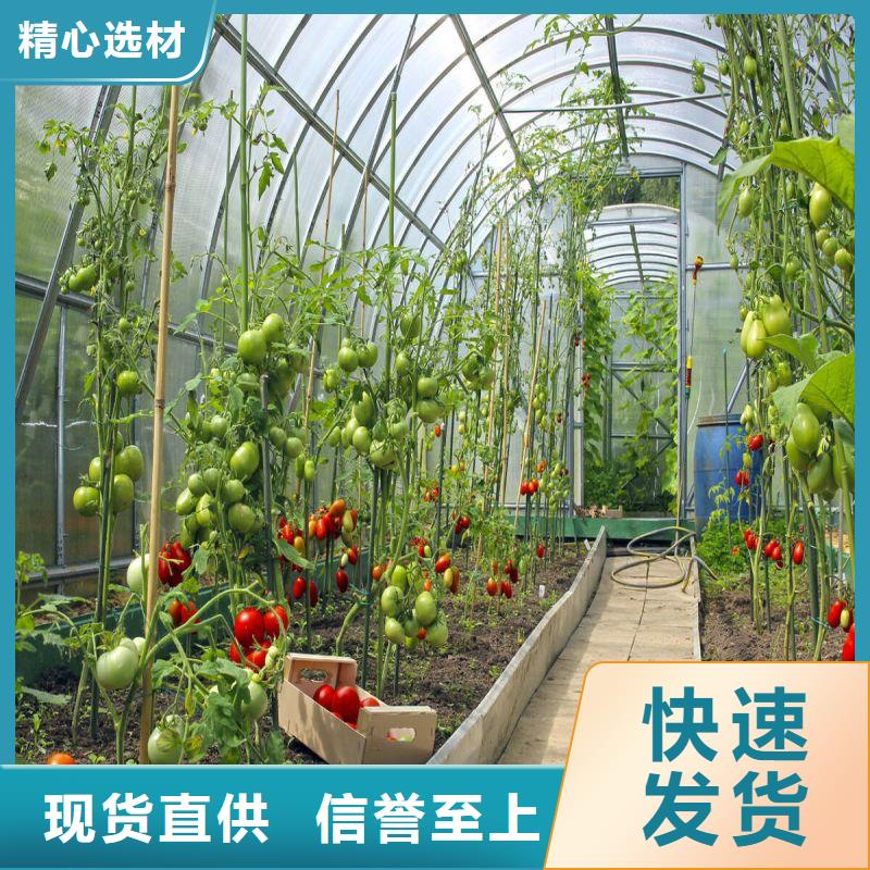 鼎城25扁钢直销批发价格