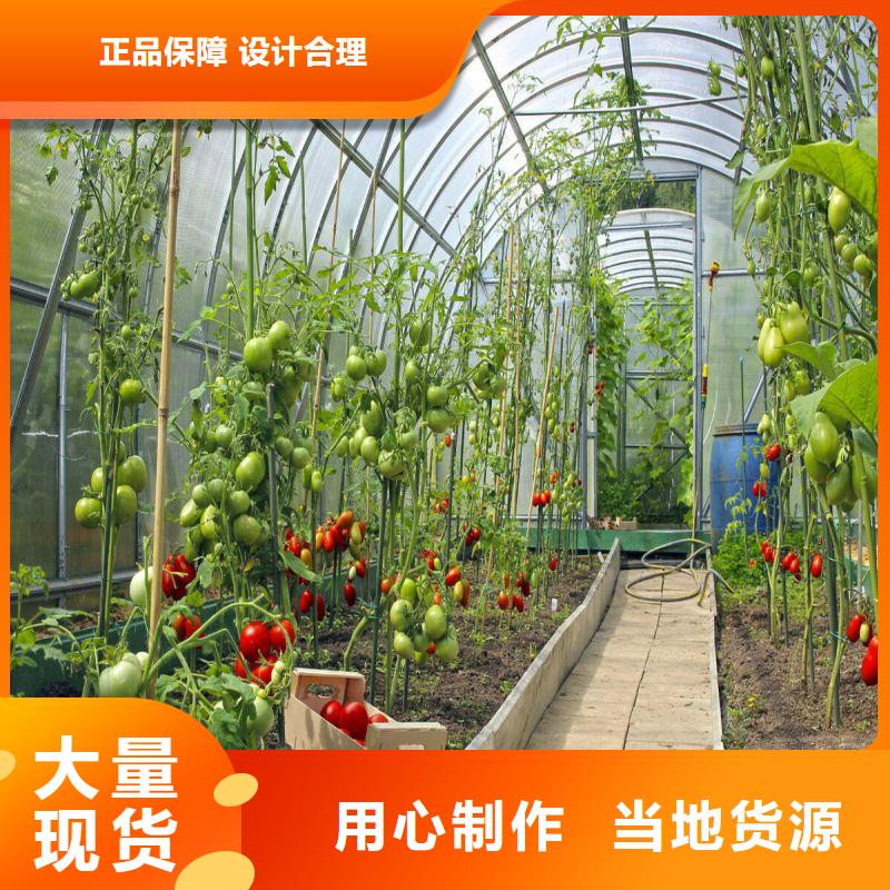 双阳区大棚薄膜实力厂家
