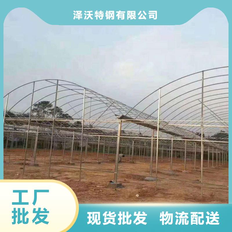 徐闻县大棚管厂家采购