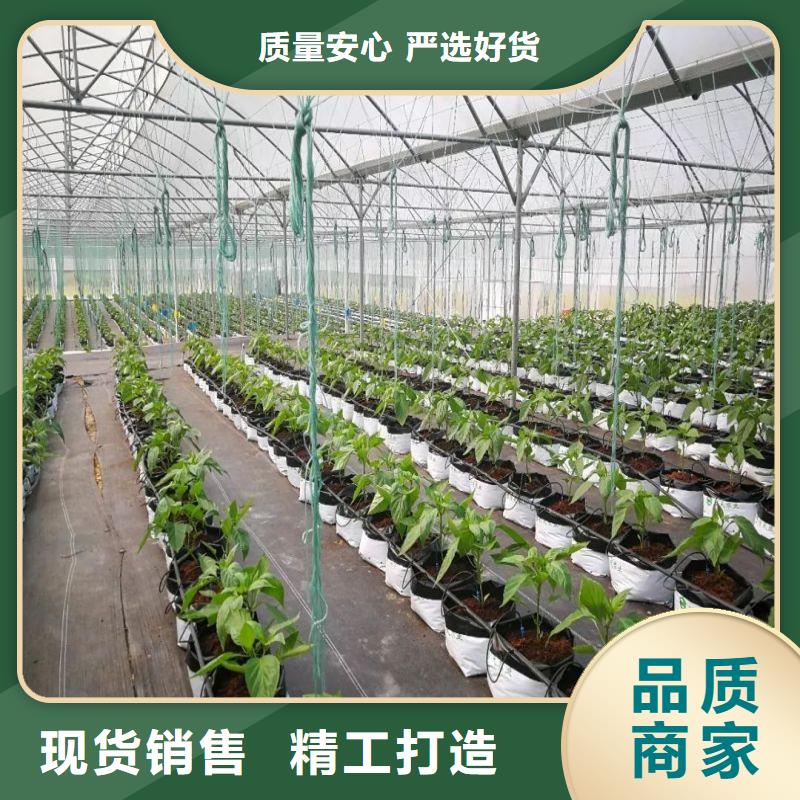 湘阴县各型号大棚管配件