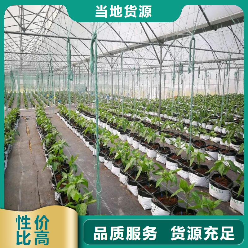 Q235连体大棚镀锌管,设计