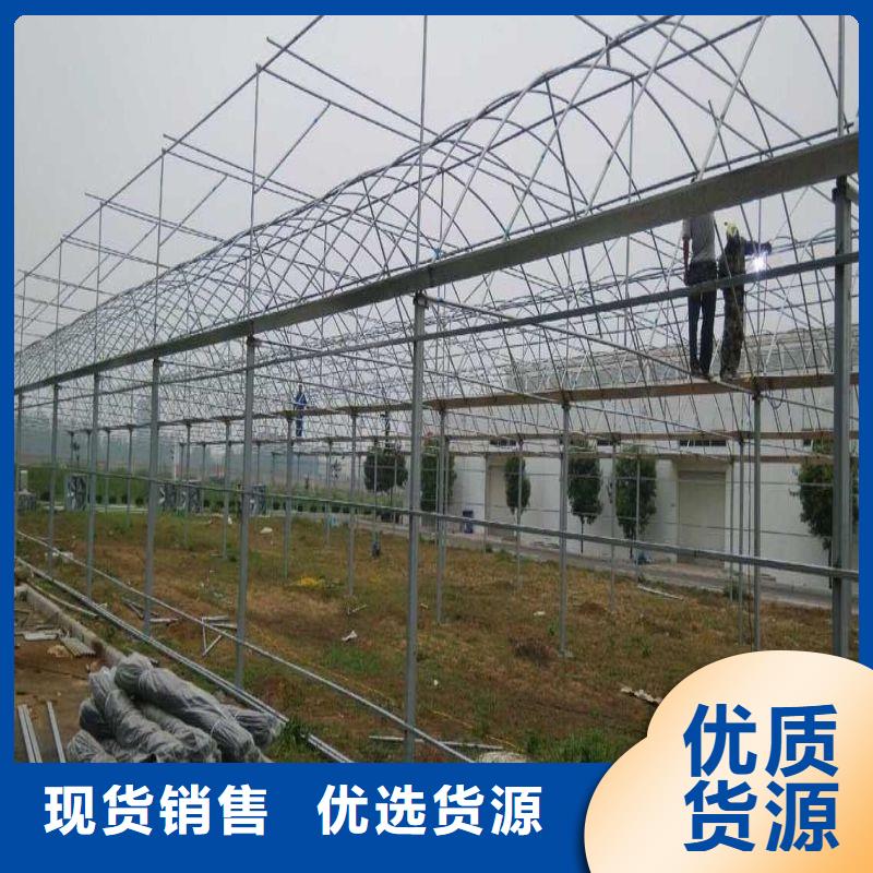 湘东区4分大棚管厂家